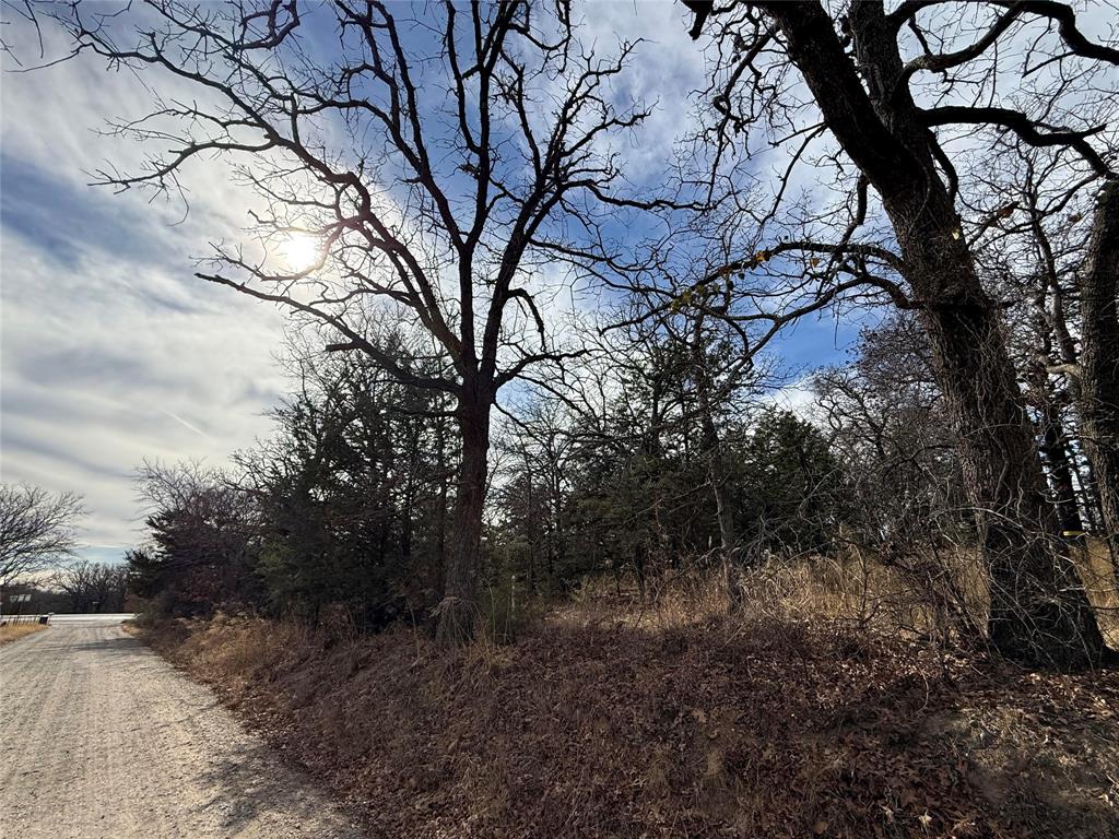 2 Summit Oaks Circle Denison, TX 75020 - Photo 15 of 16 a view of a forest with lots of trees