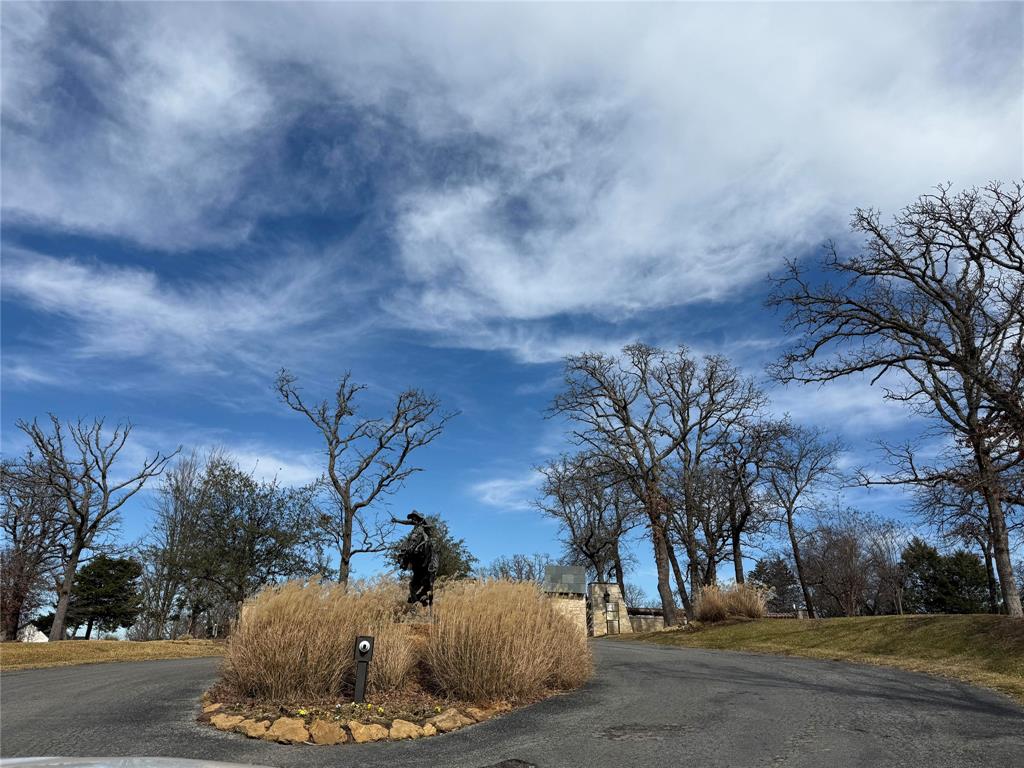 2 Summit Oaks Circle Denison, TX 75020 - Photo 3 of 16 a view of a outdoor space with trees