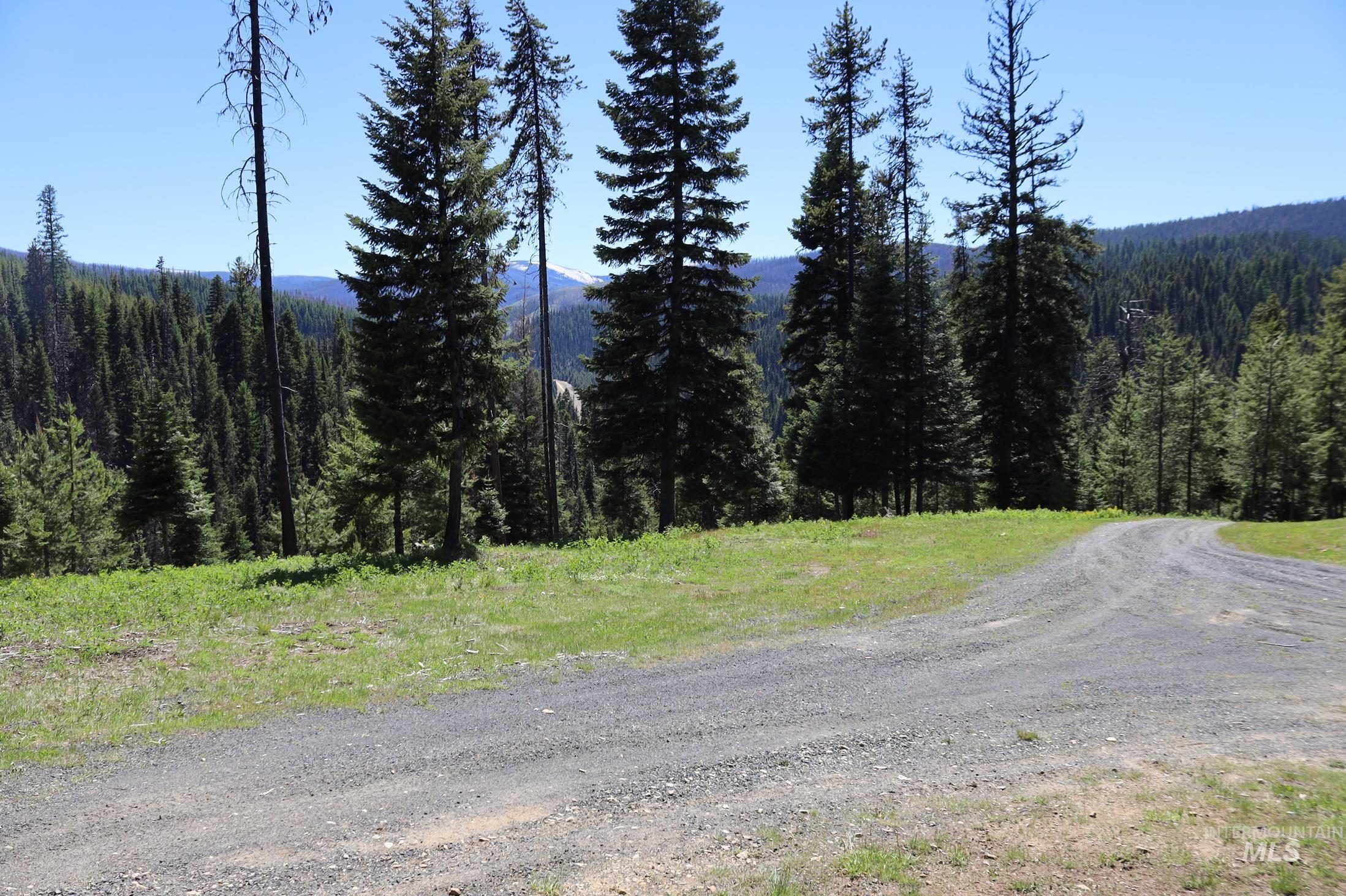 1391 Crooked River Road Elk City, ID 83525 - Photo 20 of 26