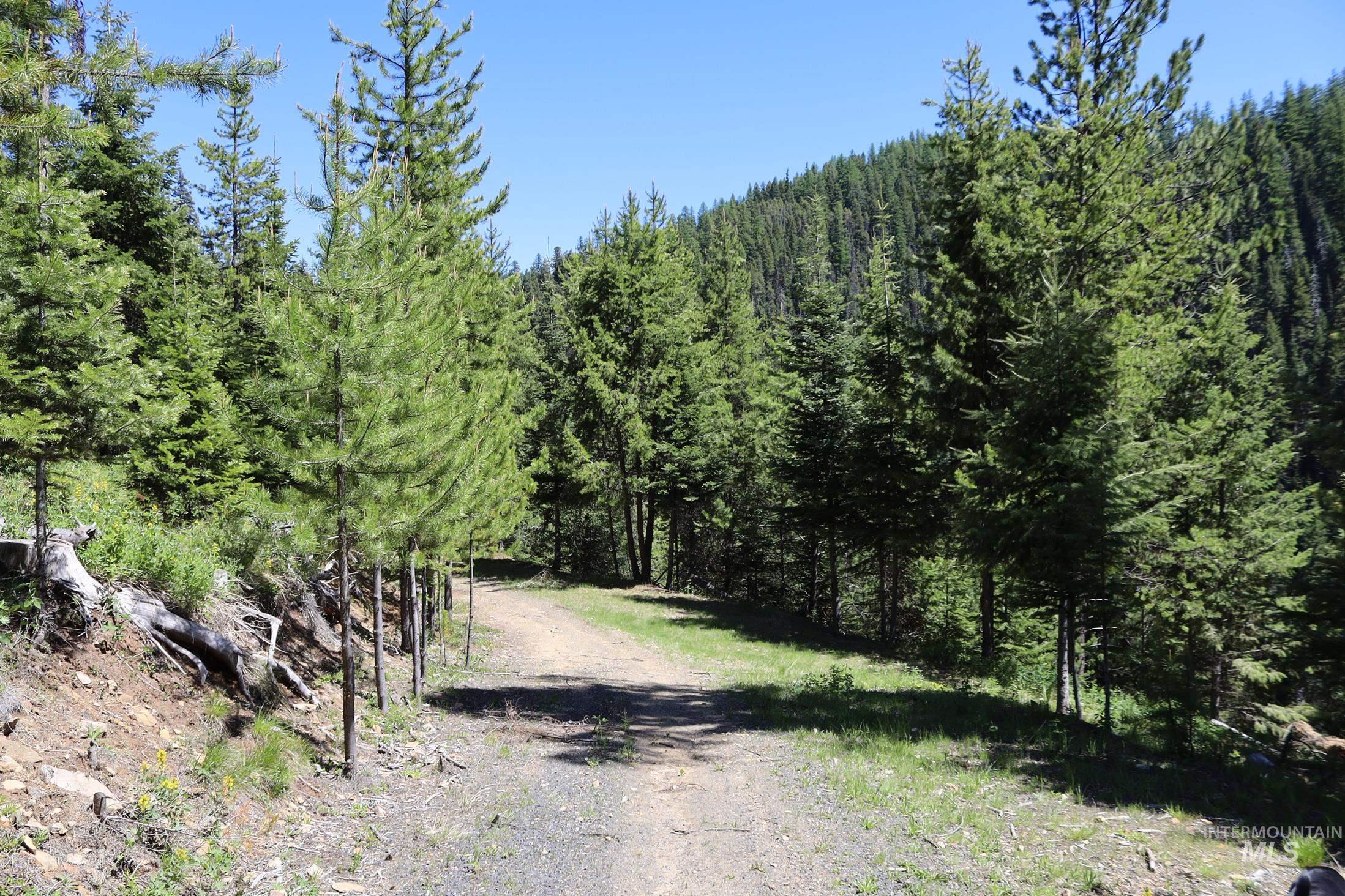 1391 Crooked River Road Elk City, ID 83525 - Photo 21 of 26