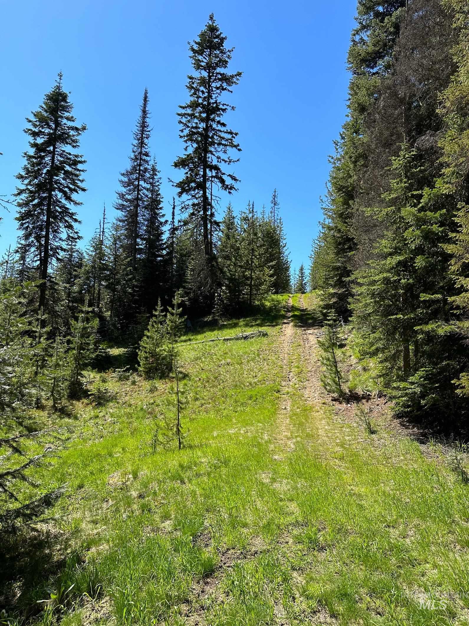 1391 Crooked River Road Elk City, ID 83525 - Photo 23 of 26