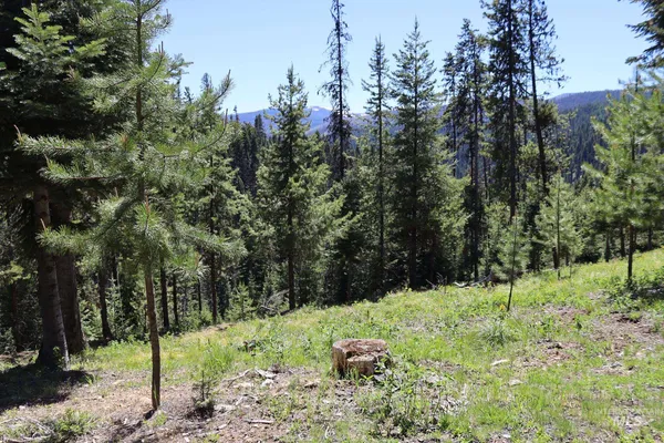 $2,250,000 | 1391 Crooked River Road, Elk City, ID 83525