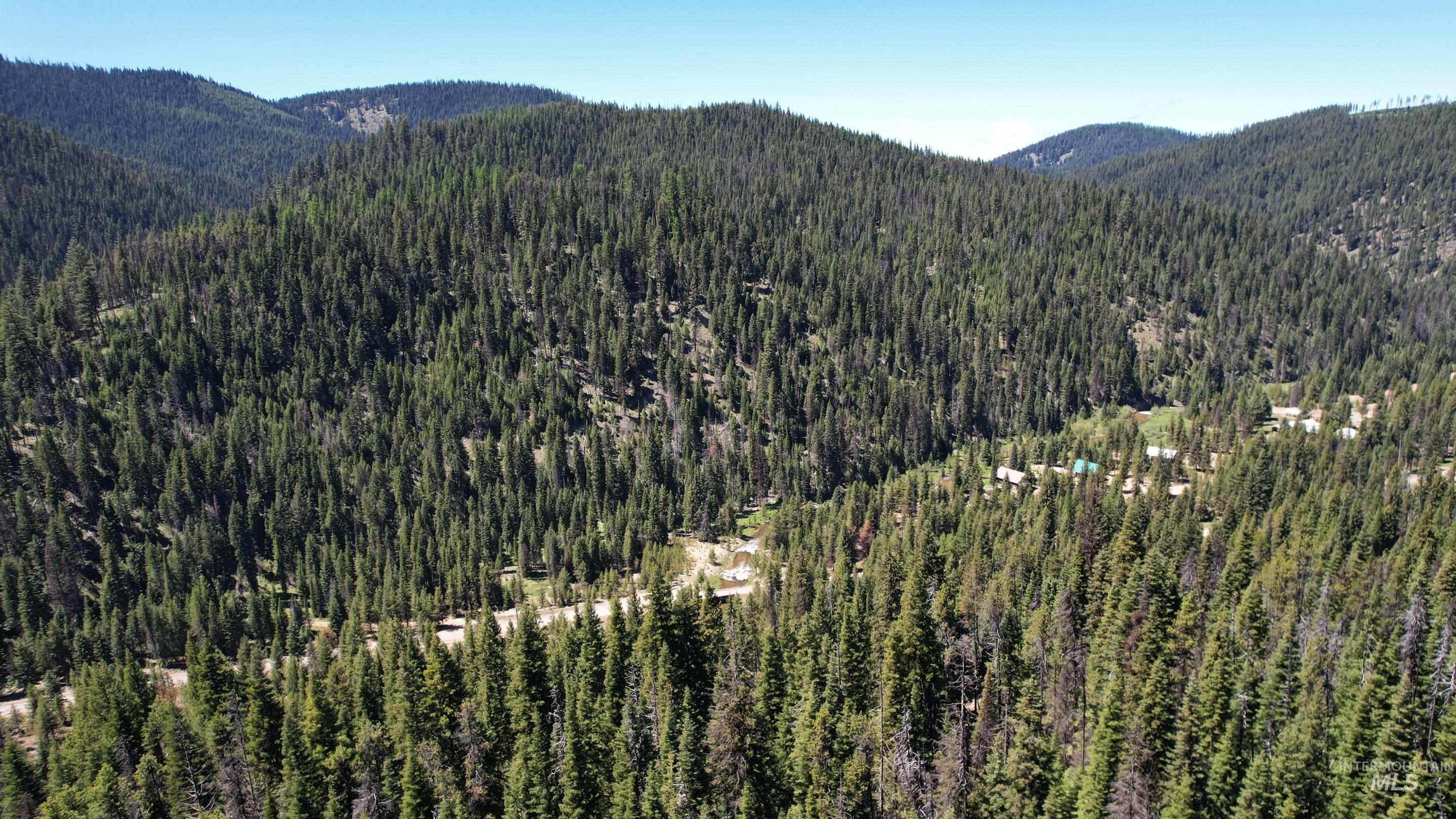 1391 Crooked River Road Elk City, ID 83525 - Photo 6 of 26