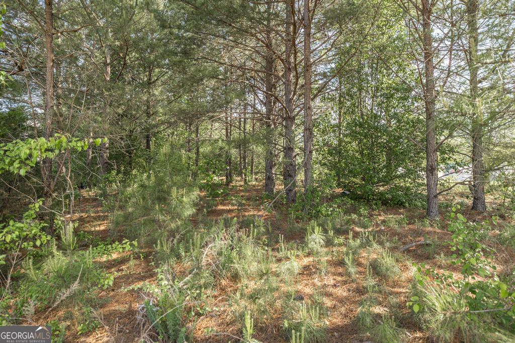 102 Clarks Court, Unit 96 Jackson, GA 30233 - Photo 37 of 40