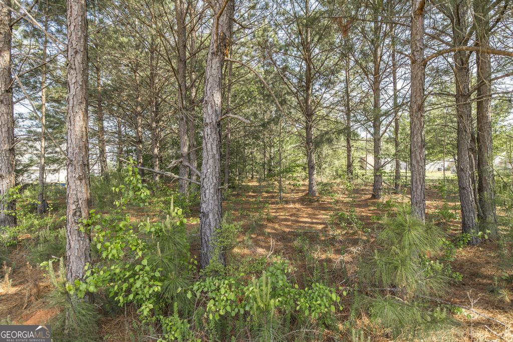 102 Clarks Court, Unit 96 Jackson, GA 30233 - Photo 38 of 40