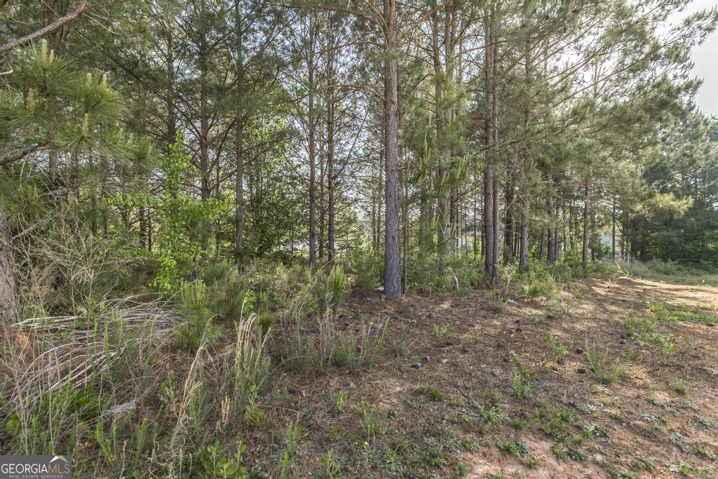 102 Clarks Court, Unit 96 Jackson, GA 30233 - Photo 39 of 40