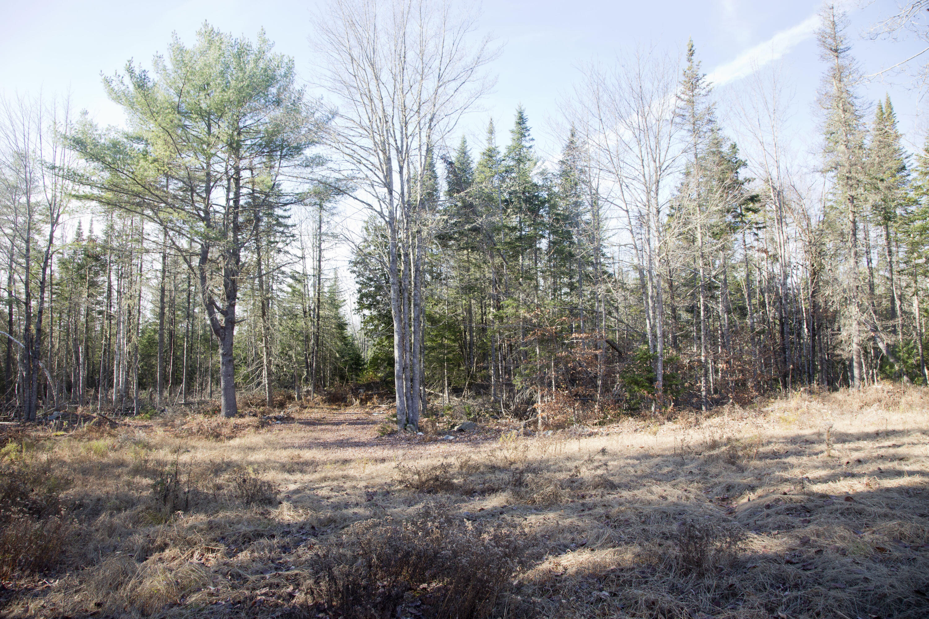 81 Poplar Road Glenburn, ME 04401 - Photo 9 of 16 Meadow