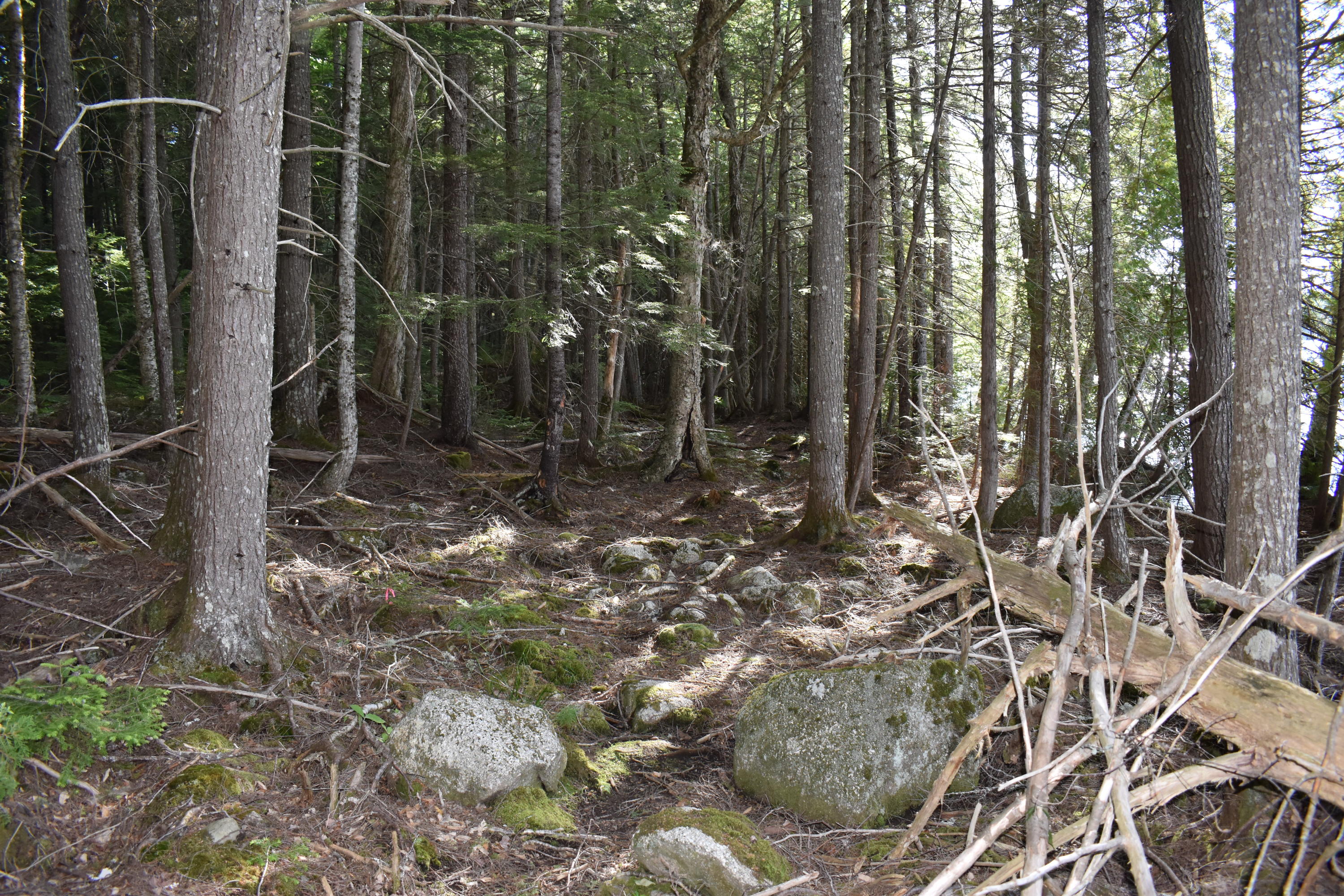 Lot 1-b-10 Lot 1-b-10 Road Weston, ME 04424 - Photo 3 of 19 DSC_0148