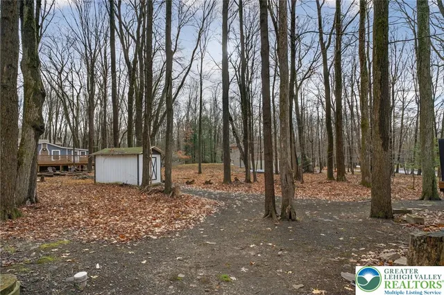 a view of a backyard with large trees