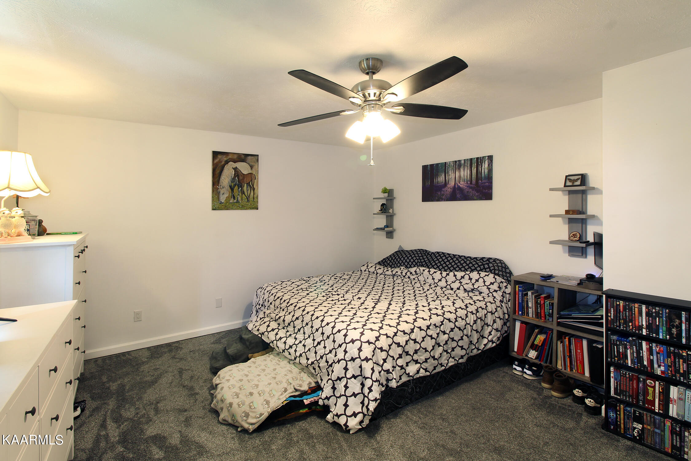 141 Ruth Street Corryton, TN 37721 - Photo 16 of 36 IMG_3089