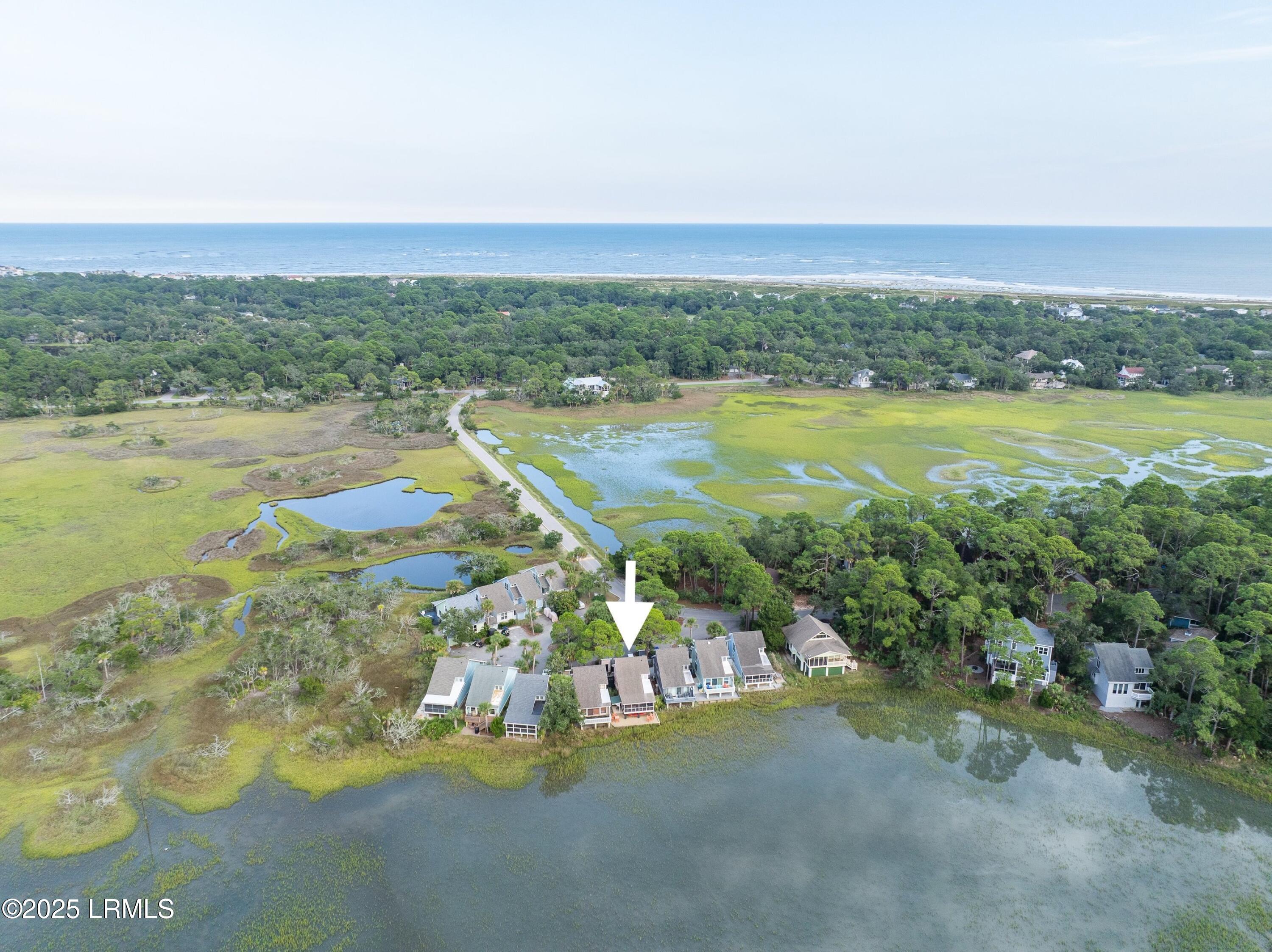 4 Periwinkle Court Fripp Island, SC 29920 - Photo 64 of 66 DJI_0543.jpg-SMALL