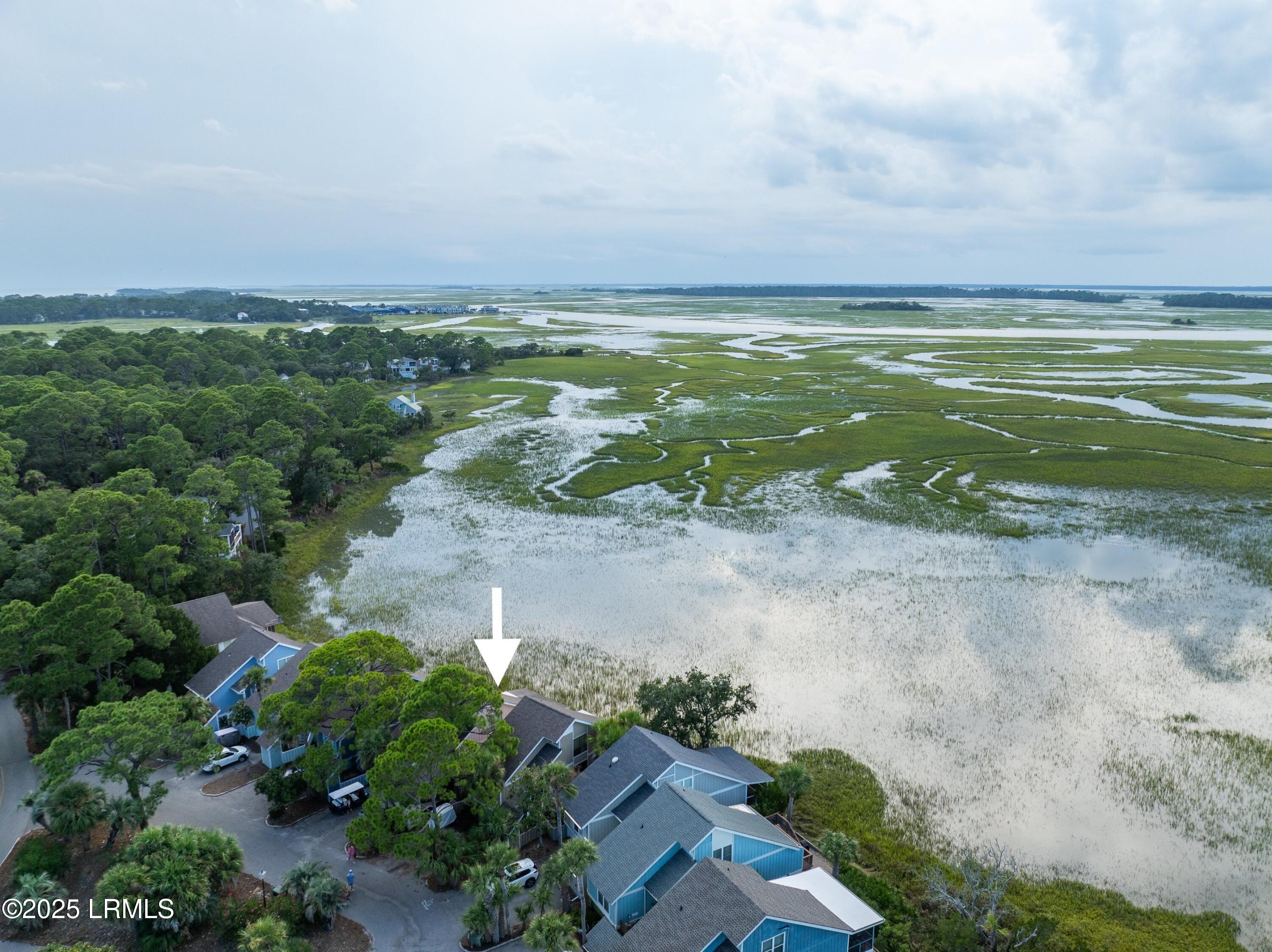 4 Periwinkle Court Fripp Island, SC 29920 - Photo 66 of 66 DJI_0541.jpg-SMALL