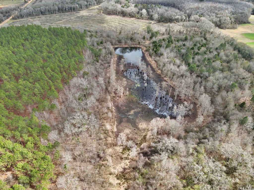 86-acres New Hinson Road Slocomb, AL 36375 - Photo 9 of 15