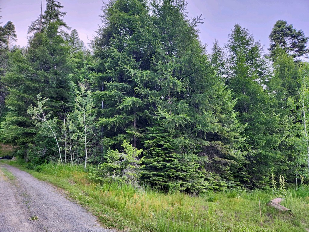 1457 West Mountain Road, Unit 2A45 Cascade, ID 83611 - Photo 3 of 12 Variety of Timber Pines & Aspens