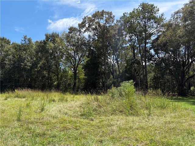 2 North Thibodeaux Road Ponchatoula, LA 70454 - Photo 1 of 3 Gallery Image 1