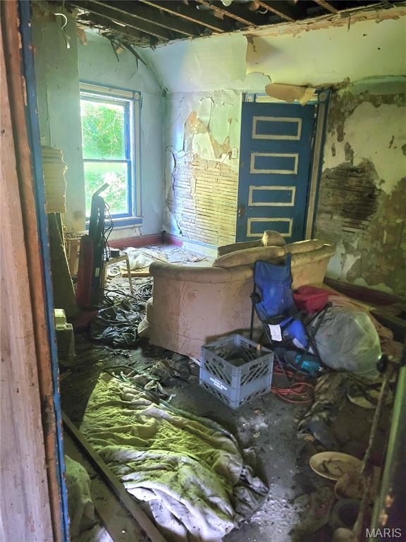 321 South Griffith Street Hannibal, MO 63401 - Photo 7 of 9