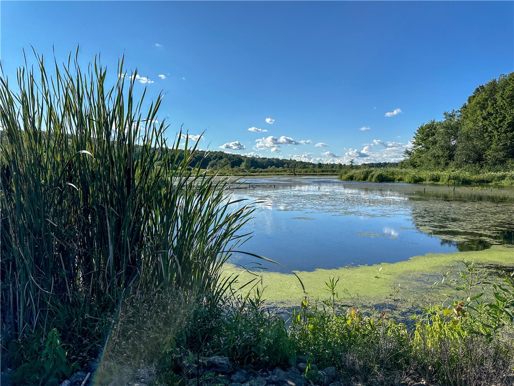 Vl Kidder Road Sherman, NY 14781 - Photo 12 of 50