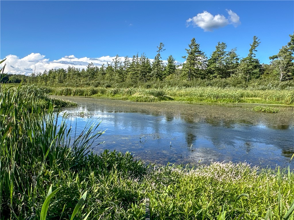 Vl Kidder Road Sherman, NY 14781 - Photo 14 of 50