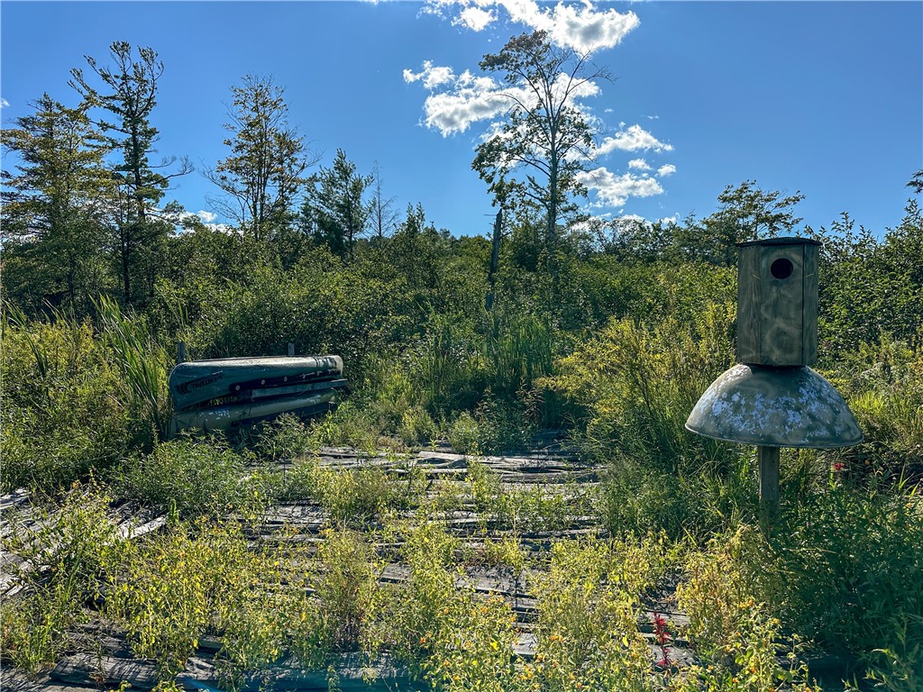 Vl Kidder Road Sherman, NY 14781 - Photo 15 of 50