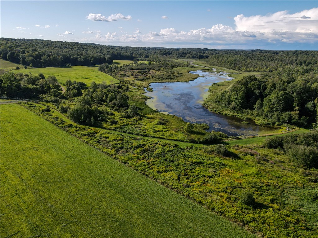 Vl Kidder Road Sherman, NY 14781 - Photo 2 of 50