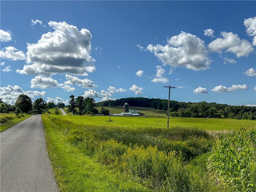 Vl Kidder Road Sherman, NY 14781 - Photo 4 of 50