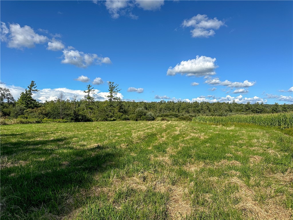 Vl Kidder Road Sherman, NY 14781 - Photo 41 of 50