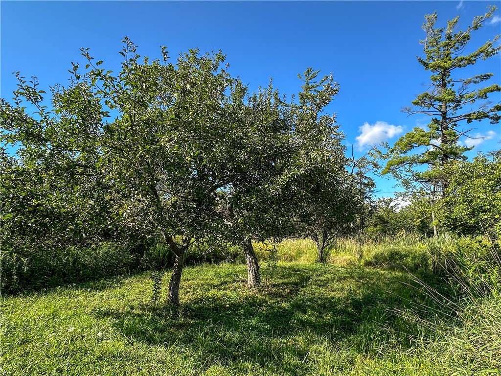 Vl Kidder Road Sherman, NY 14781 - Photo 42 of 50