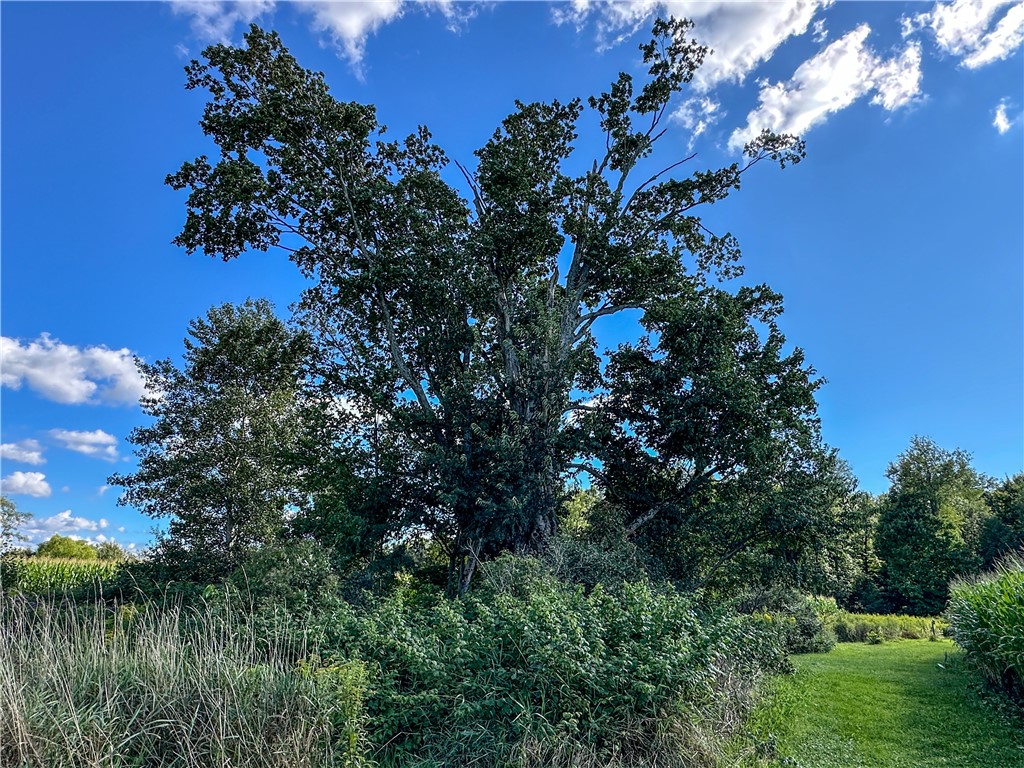 Vl Kidder Road Sherman, NY 14781 - Photo 43 of 50