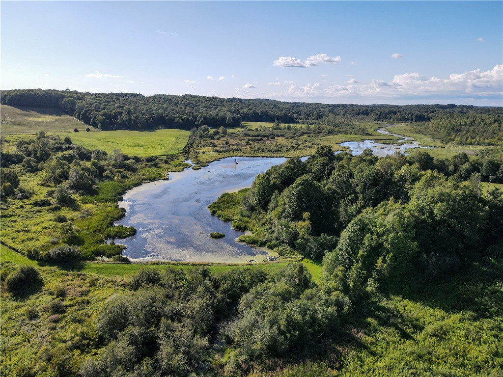 Vl Kidder Road Sherman, NY 14781 - Photo 45 of 50