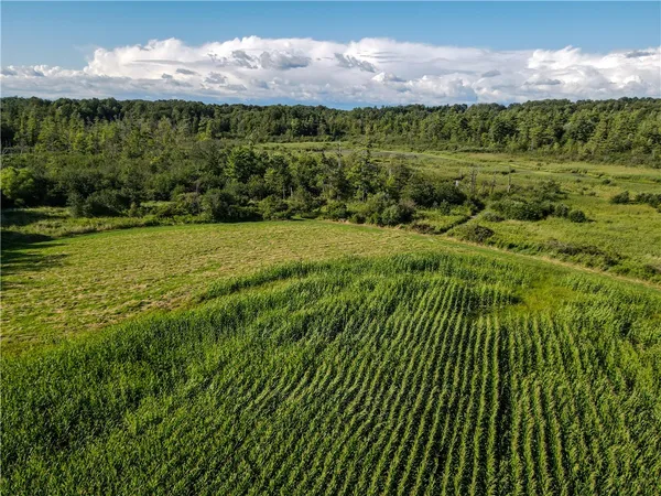 $419,900 | Vl Kidder Road, Sherman, NY 14781