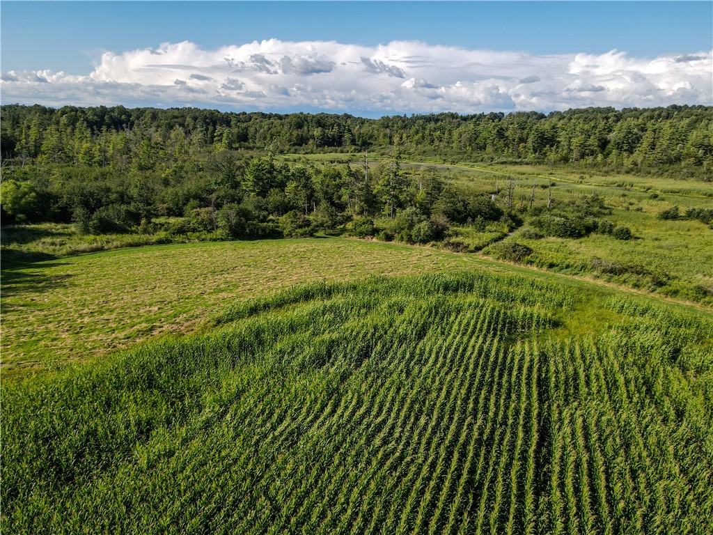 Vl Kidder Road Sherman, NY 14781 - Photo 46 of 50