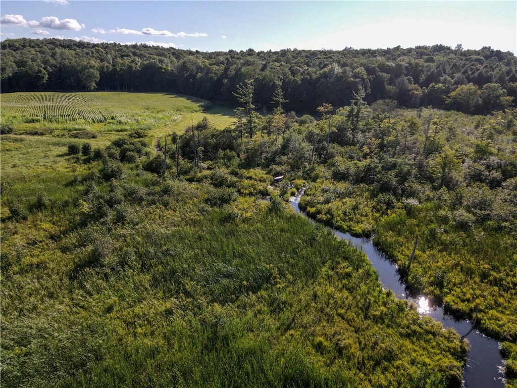 Vl Kidder Road Sherman, NY 14781 - Photo 47 of 50