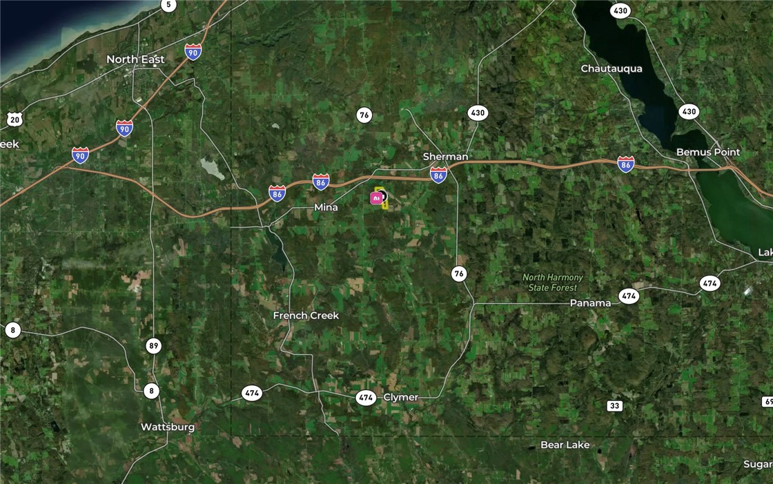 Vl Kidder Road Sherman, NY 14781 - Photo 49 of 50