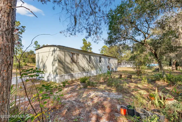 a view of a yard with large tree