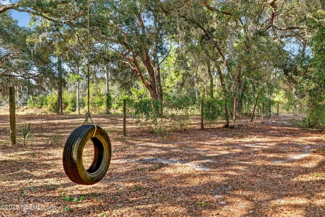 a view of a yard with a tree