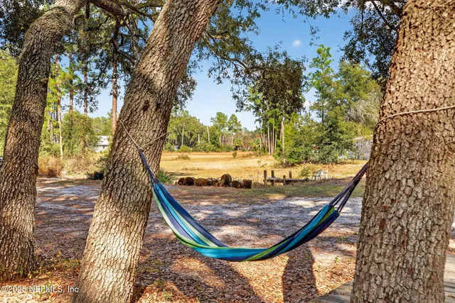 a view of a yard with large tree