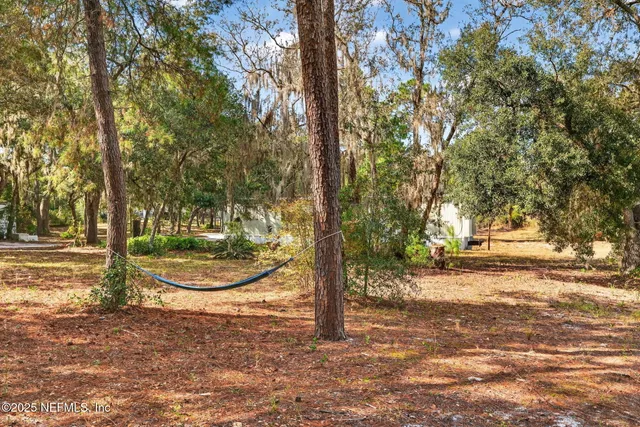 a view of a street with large tree