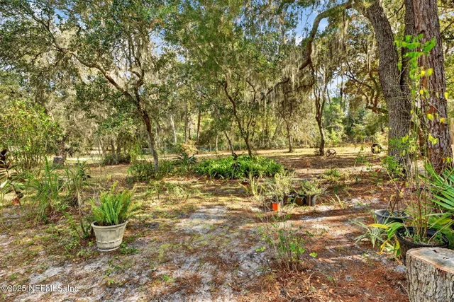 a view of dirt yard with a tree