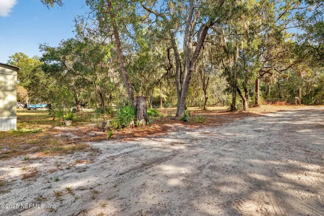 a view of dirt yard with a large tree