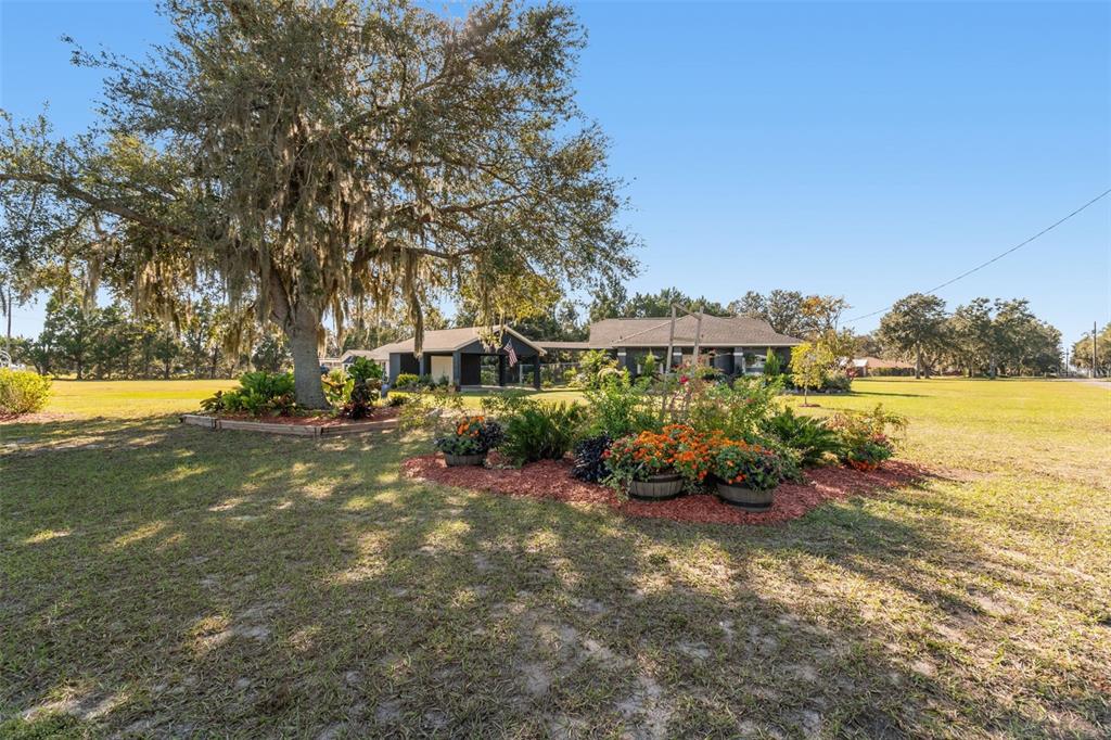 14721 Scharber Road Dade City, FL 33525 - Photo 5 of 100