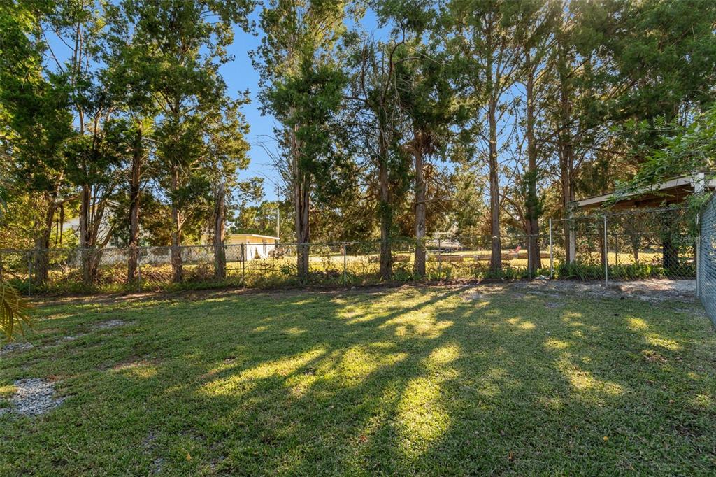 14721 Scharber Road Dade City, FL 33525 - Photo 80 of 100