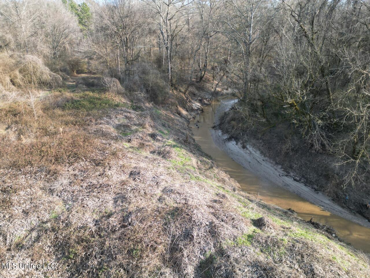 1004 Joe Good Road Lorman, MS 39096 - Photo 11 of 57 DJI_0263 Large