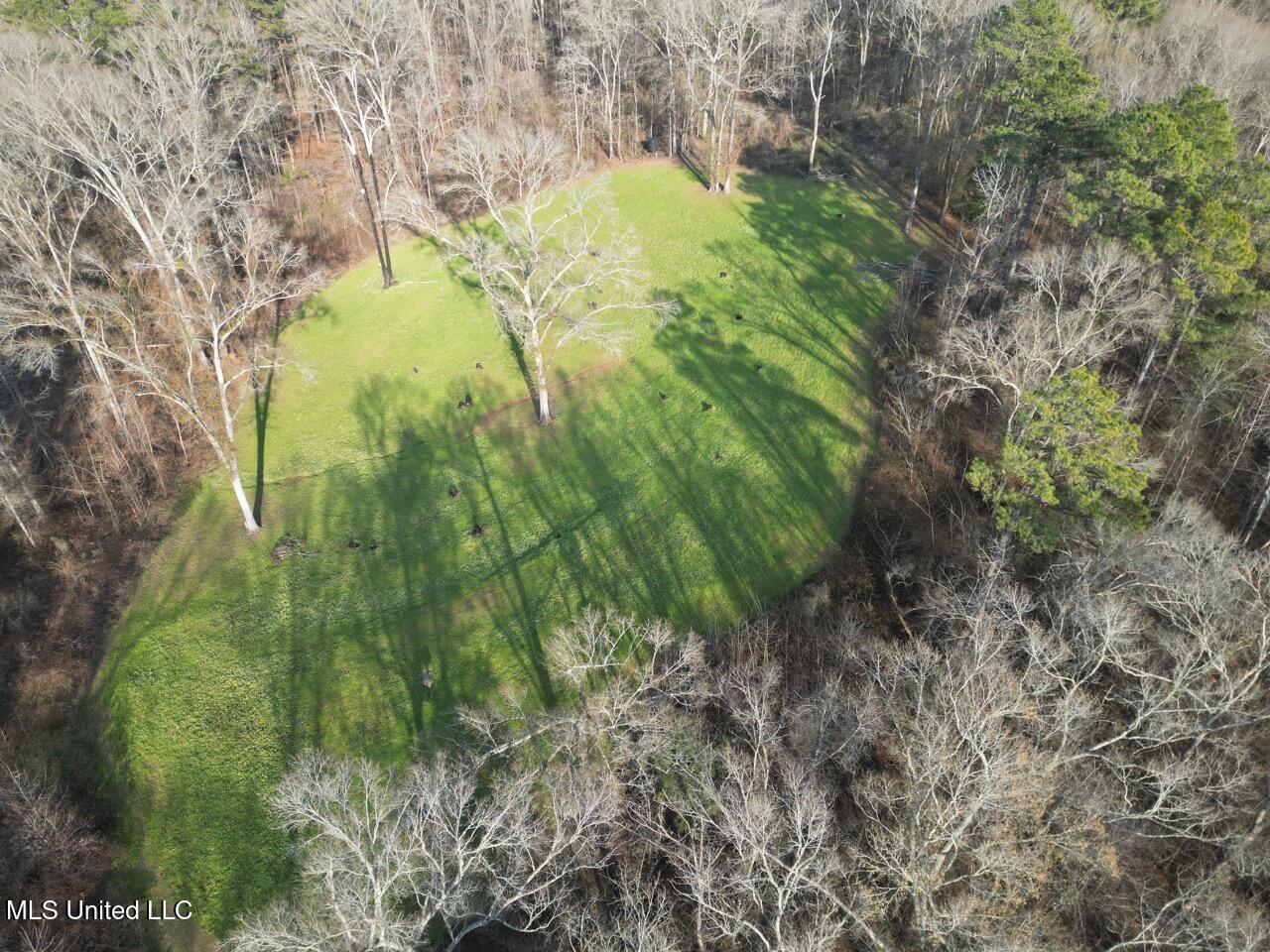 1004 Joe Good Road Lorman, MS 39096 - Photo 13 of 57 DJI_0266 Large