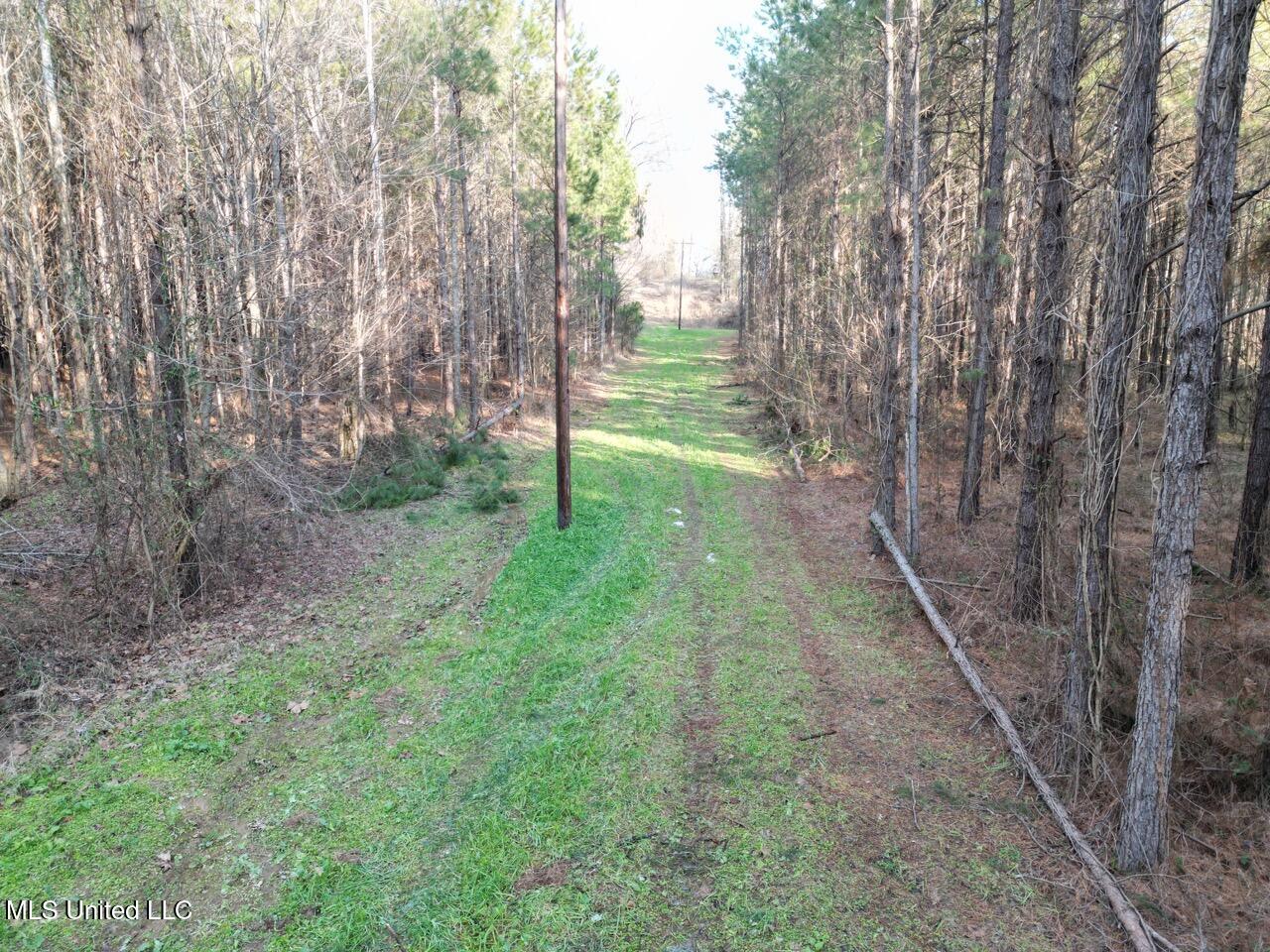 1004 Joe Good Road Lorman, MS 39096 - Photo 14 of 57 DJI_0268 Large