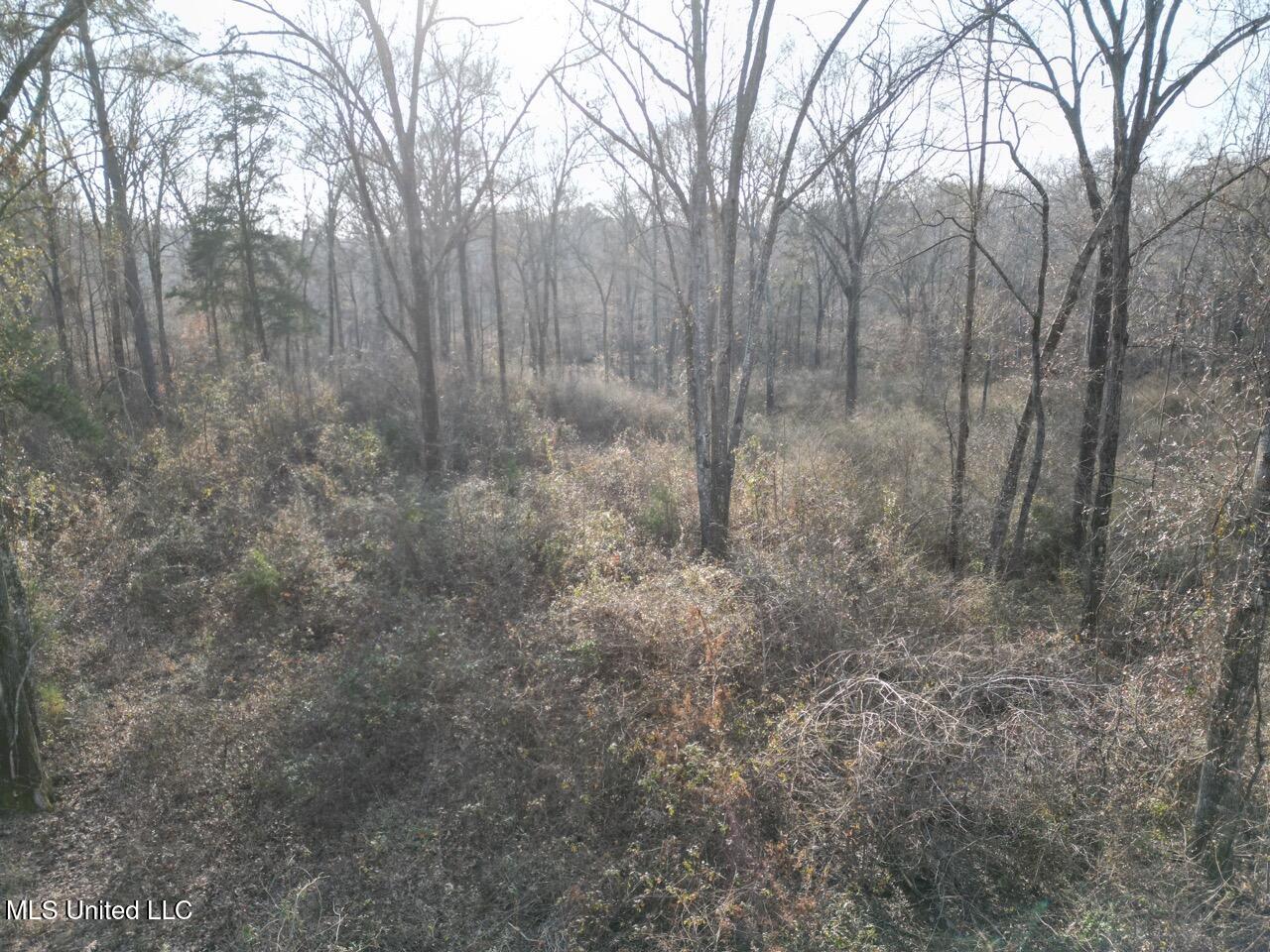 1004 Joe Good Road Lorman, MS 39096 - Photo 15 of 57 DJI_0271 Large