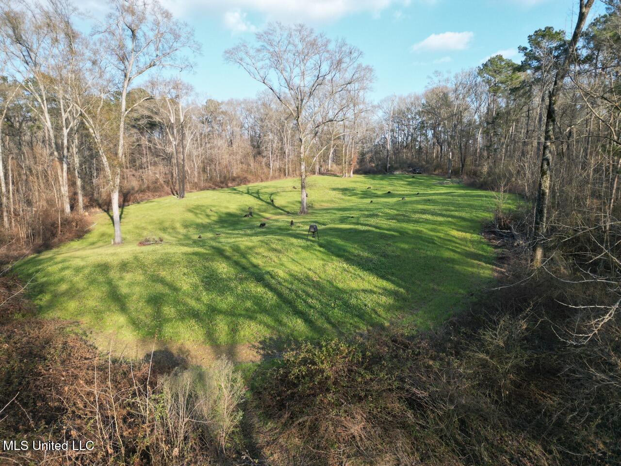 1004 Joe Good Road Lorman, MS 39096 - Photo 16 of 57 DJI_0272 Large
