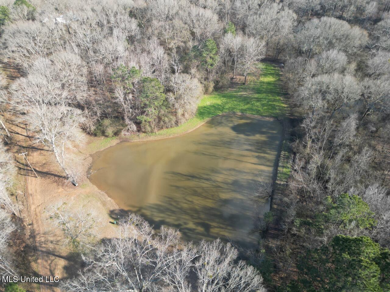 1004 Joe Good Road Lorman, MS 39096 - Photo 3 of 57 DJI_0246 Large