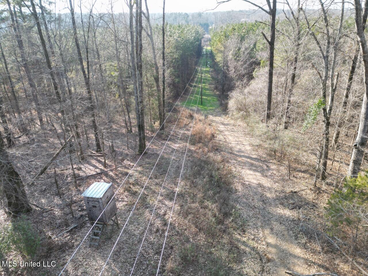 1004 Joe Good Road Lorman, MS 39096 - Photo 4 of 57 DJI_0248 Large