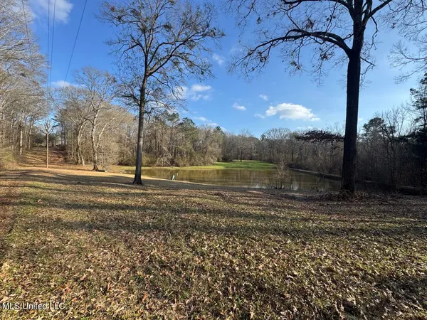 $850,000 | 1004 Joe Good Road, Lorman, MS 39096