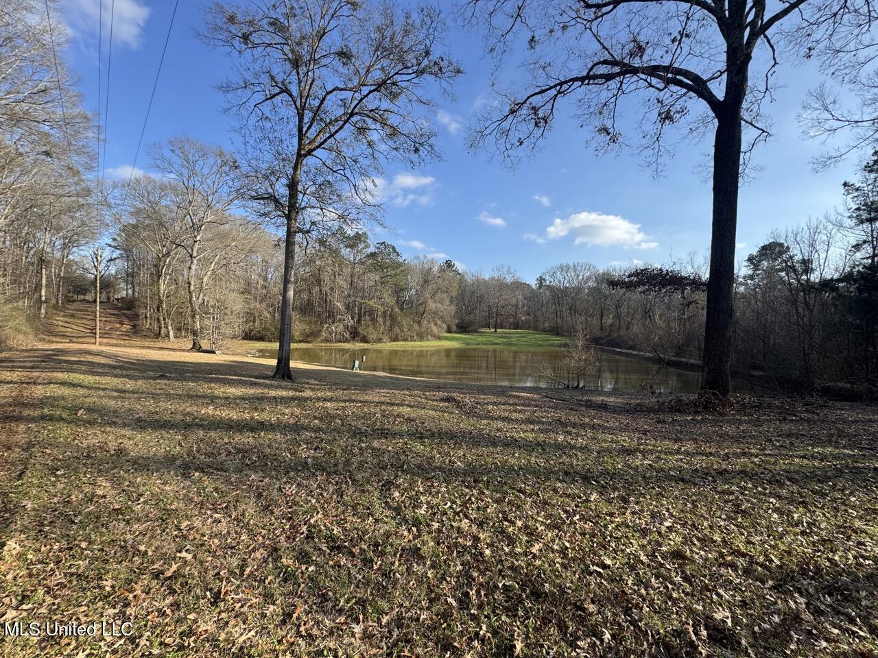 1004 Joe Good Road Lorman, MS 39096 - Photo 41 of 57 IMG_1926 Large